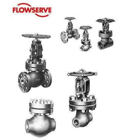 Flowserve÷