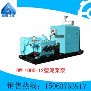 BW-1000/12ཬ