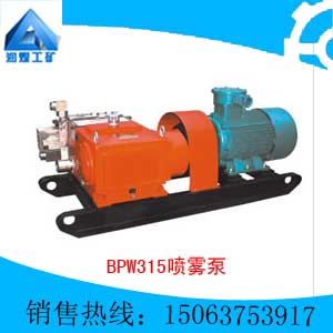 BPW315/6.3BPW315/10