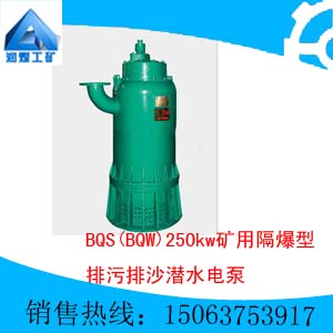 BQS(BQW)250kwɳǱˮ
