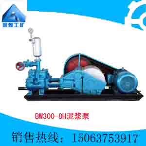 BW300/8Hཬ