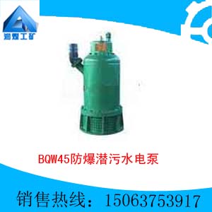 BQW45-15-5.5ǱˮǱˮ