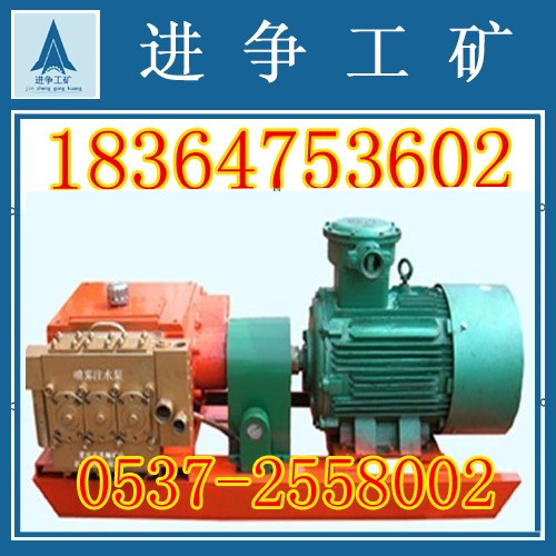 BPW315-10BPWͺ