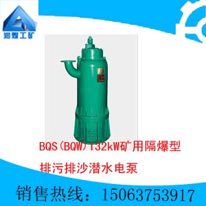 BQS(BQW)132kWøɳǱˮõ