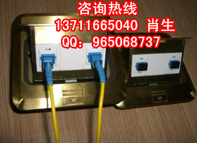 原装光纤地插
