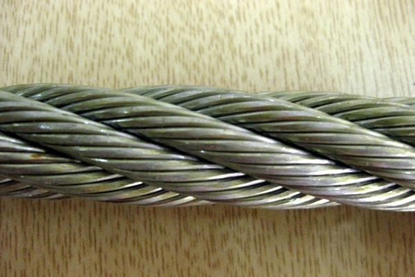 ձڲָ˿316ָ˿