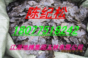 ë/Ҷ/ë/Ĵë/ë۷