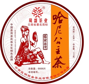2013ṫ