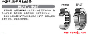 RNAST-NASTϵ