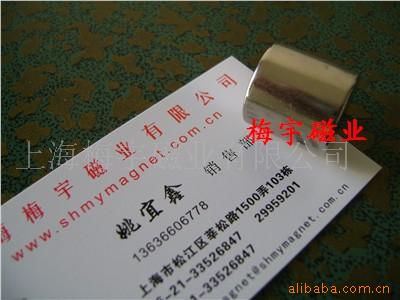 大规格钕铁硼磁钢,磁性橄榄球,磁性标示片,磁铁