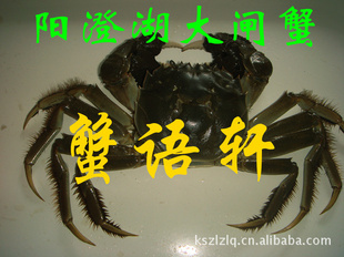 κբзؼ۹з4.08ֻ