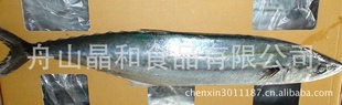 㡢㡢SPANISHMACKEREL
