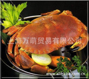 зEdiblecrab