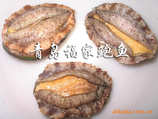 ѡ