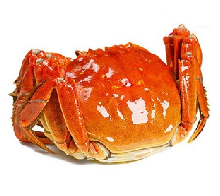 зκբз298ȴУ
