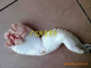 ȥȫ