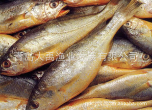 Сƻ㣬ൺʣൺز