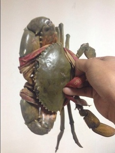 Ұззĸзз