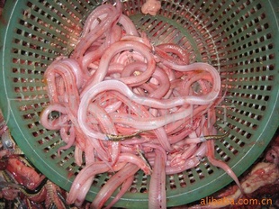 水蛇肉