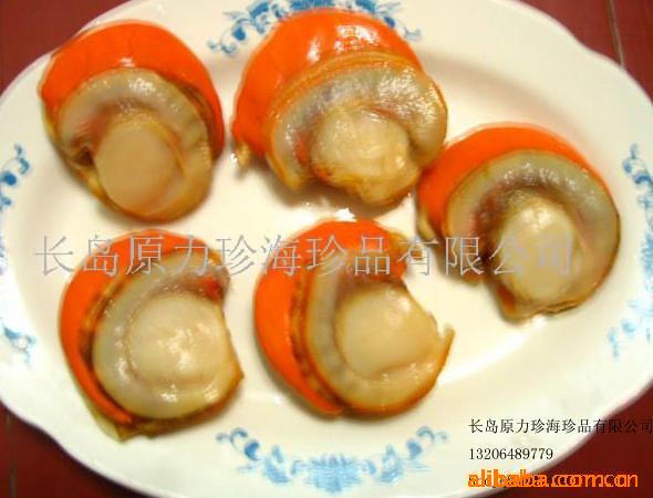 ȱϺȱȱscallop(ͼ)
