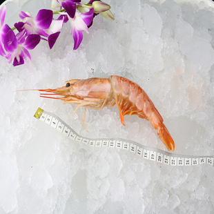 ͢ϺϼϺ7-8һҰϺȾ