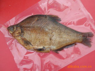 ѬŽѬڱã