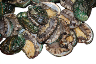 زൺؼ