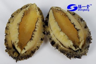 ɽ䶳ʱ“һ”ൺҰ500g/8ͷ