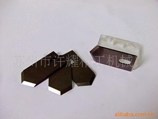ڰ뵼塢ɵ·ٸ