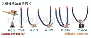 ̨YL