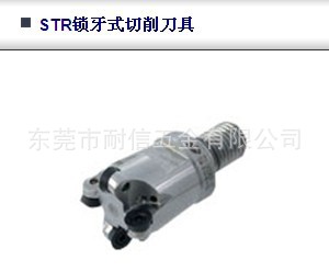 ̨ԴSTR-2.5R12M6-2Tϵϳ