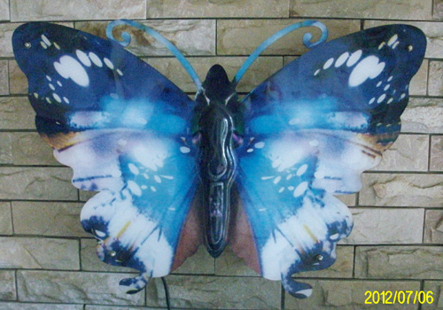 ߲ʺ
