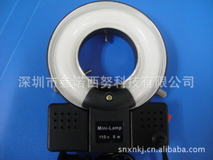 minilamp6.5wε