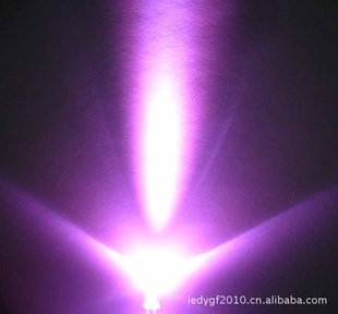 ߲LEDӫMZ100