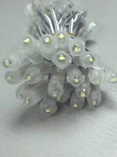 麣áװװLED¶-¶