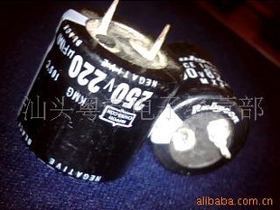µݣ250V220UF