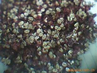 四川2012年特级特级特香特香特麻特麻特红特红茂汶花椒