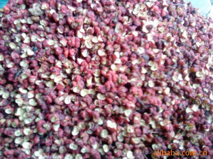 ѡؼ2011ػζ2011´ۻ
