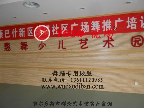 ֱ赸ص棬赸ص۸