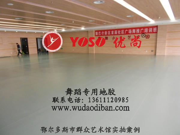 010-59508736
