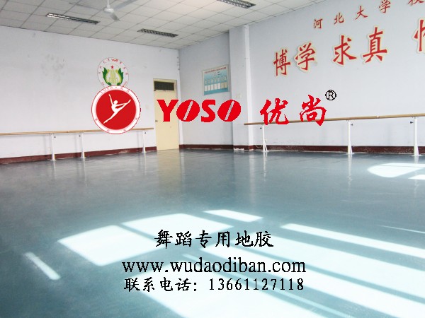 PVC舞蹈形体房地板,舞蹈形体