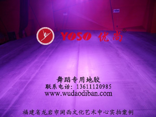 舞蹈房塑胶地板,舞蹈房地板