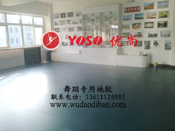 舞蹈房地板价格,舞蹈地胶价格