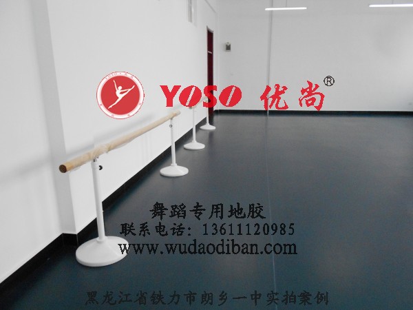 陕西舞蹈房地板,山西舞蹈房地板