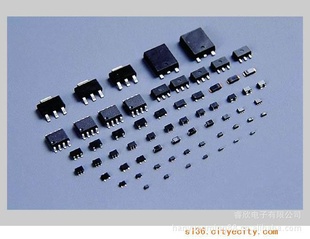 ƬSS1101A100V