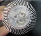 ֱʵƱ3X1W12v