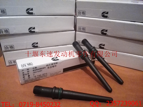˹QSBӼ3947538