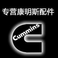 ˹cumminsԭװŽ3009639