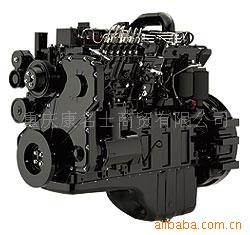 C8.3ڷ