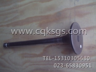 CUMMINS˹3088389